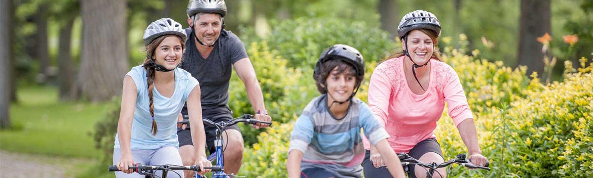 Family of four riding bicycles in a park in the summer